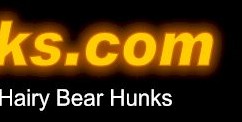Bear Hunks